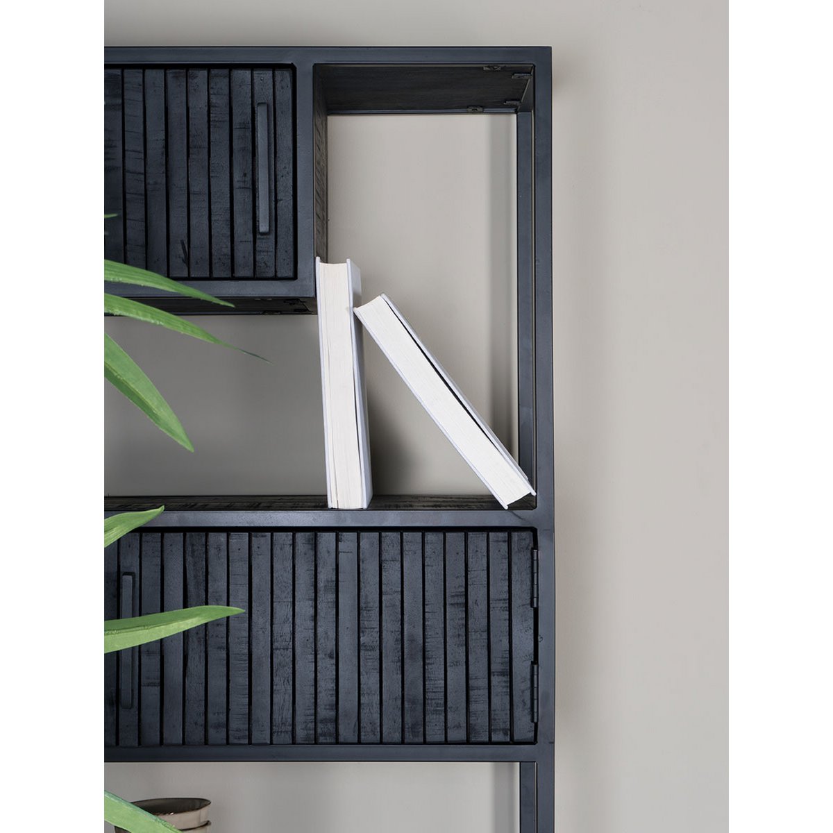 Kast Loek 210 x 80 cm – Zwart Mangohout